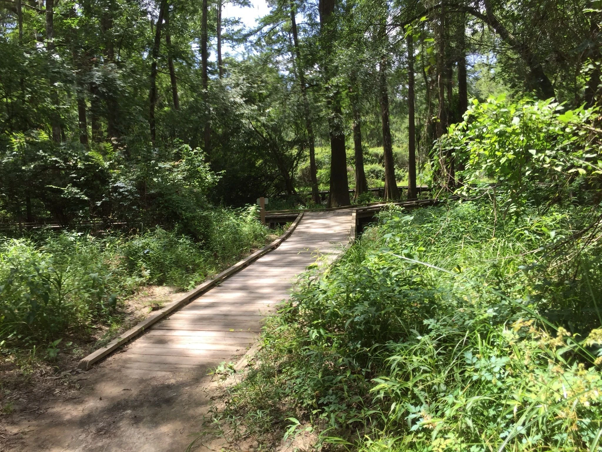 Spring Creek Greenway